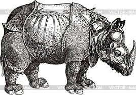 Das rhinozeros war das geschenk eines indischen sultans an den könig von portugal gewesen und seit der antike das erste lebende exemplar in europa, das in strenger seitenansicht führt dürer dem betrachter das unförmige tier vor augen. Rhinozeros Grafik Von Albrecht Durer Vektorgrafik