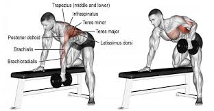 The dumbbell squat is a compound exercise that strengths the lower body, including the quads, hips, hamstrings, and glutes. 4 Archery Exercises You Should Do