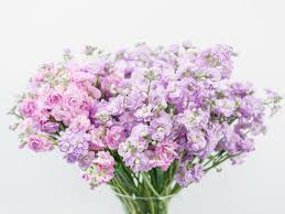 The mayans and aztecs were both warriors who practiced human sacrifice — which shows a casual acceptance of death. Sympathy Flowers A Guide To Sending Condolence Flowers Funeral Guide