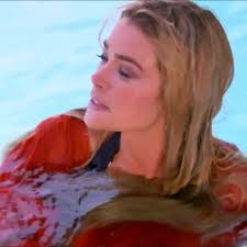 Denise Richards Swimming Pool