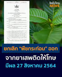 สมศักดิ์ เทพสุทิน รมว.ยุติธรรม ยังใช้เสรีไม่ได้ พ.ร.บ.ยาเสพติดให้โทษ พ.ร.บ.พืชกระท่อม ข่าวการเมือง. Bytfljejhnvozm