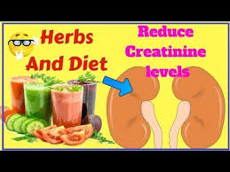 How To Lower Creatinine Level Fast And Naturally With Herbs Diet How To Reduce Creatinine Levels Youtube Creatinine Levels Herb Diet Diet Guide