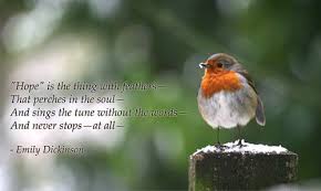 Popular Poems Of Emily Dickinson Biography Online
