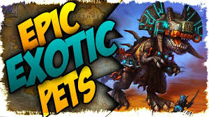Check out this guide to know what pets to in world of warcraft classic your pet doesn't automatically level up when you do. Top 5 Epic Exotic Hunter Pets In Bfa Youtube
