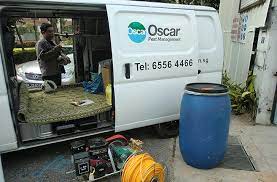 We are exporter of baygon aerosol spray. 31 Best Pest Control Companies In Singapore 2021 Best In Singapore