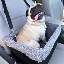 One supplier not paid on time, and i received a notice of a lien unless payment was made. 11 Best Top 10 Best Dog Car Seats In 2017 Reviews Images Dog Car Seats Car Seats Dog Car