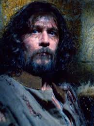 Figurine Pop Sirius Black with poster (Harry Potter) pas cher