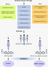 Ovarian cancer is a malignant tumour in one or both ovaries. Prediction Of The Treatment Response In Ovarian Cancer A Ctdna Approach Journal Of Ovarian Research Full Text