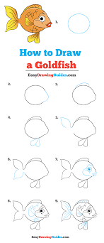 Ad choices advertise privacy policy do not sell my personal information ca notice closed captioning pressbox sports. How To Draw A Goldfish Really Easy Drawing Tutorial