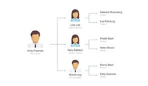 Organizational Chart For Keynote Free Download Now