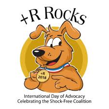 You can find our ppg profile here. Pet Professional Guild Celebrates Shock Free Coalition With Photo Video Competition Showcasing Force Free Training Pet Professional Guild Prlog