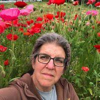 Daniel Kubler Email & Phone Number