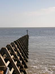 In human anatomy, the groin (the adjective is inguinal, as in inguinal canal) is the junctional area (also known as the inguinal region) between the abdomen and the thigh on either side of the pubic bone. Groins Sea Beach Free Photo On Pixabay
