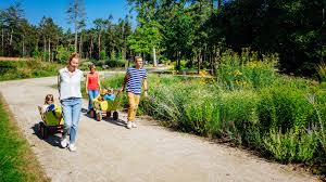 Wollen sie im modernen eislaufzentrum keba glänzen? Freizeitaktivitaten Stadt Bad Lippspringe