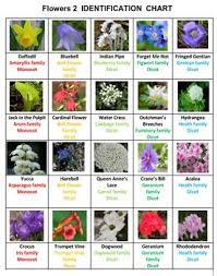 We did not find results for: Flowers Crossword Puzzles Vol 2 By Ah Ha Lessons Tpt