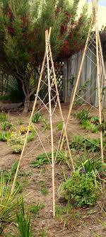 Here's my simple system for making a 3 or 4 legged tepee from bamboo stakes in around a minute for less than $1! Pin By Nancy Allen Rutland On Gardens Vegetable Garden Trellis Bamboo Trellis Tomato Trellis