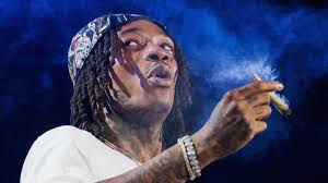 Players must defend their village from hordes of invaders deadly spirits and gigantic brutes—that every night threaten to destroy the seed of yggdrasil, the sacred tree you're sworn to protect. Best Songs About Weed To Play On 4 20 Best Hip Hop Stoner Anthems Complex