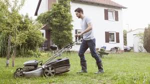 Diese Fehler Schaden Dem Rasen Rasen Englischer Rasen Unkraut Im Rasen
