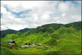 We did not find results for: Tanah Rata Fotos Besondere Tanah Rata Cameron Highlands Bilder Tripadvisor