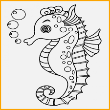 Cara menggambar hewan sangatlah beragam. Sketsa Gambar Hewan Laut Mudah