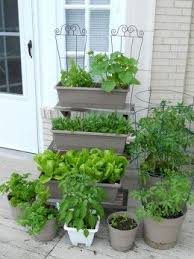 Growing Vegetables In Pots How To Grow Shade Loving Edible Plants Growing Vegetables In Pots Growing Vegetables Small Vegetable Gardens