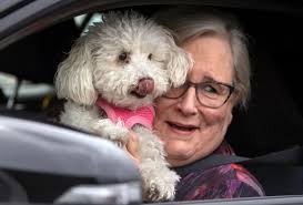 Tustin business woman's passion for pups helps drive away coronavirus blues 