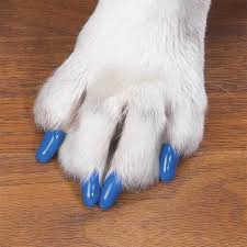 Covers For Pet Nails Protect Wood Floors Soft Claws Dog Nails Nail Caps