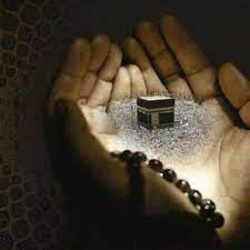 50 Beautiful Islamic Dps Images For Girls Boys Best For Facebook Whatsapp Islam Allah Wallpaper Islamic Posters Whatsapp images for dp is the first thing which people sees after saving your number. beautiful islamic dps images for girls