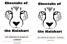 Image result for Holubia saccata