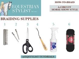Curious about horse hair braid? How To Braid Your Horse For The A Circuit Equestrian Stylist