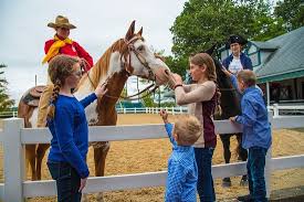 Rolex Kentucky 3 Day Event Review Of Kentucky Horse Park