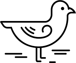 Search more high quality free transparent png images on pngkey.com and share it with your friends. Rare Seagull Coloring Page In Flight Free Printable Line Art Clipart Large Size Png Image Pikpng