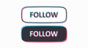 Guaranteed results · secure payments · organic & high quality How To Increase Your Tiktok Followers Likes Mike Gingerich