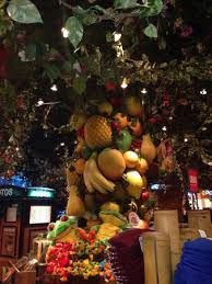 Check spelling or type a new query. Fruit Tree Picture Of Rainforest Cafe Gurnee Tripadvisor
