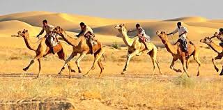 I was reccomended this company by a friend who said it was the best,, and i was not dissapointed! 38 Places To Visit In Jaisalmer In 2021 1000 Reviews With Photos