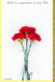 What Does It Mean To Acknowledge God It Is To Recognize His Supremacy And Importance In Your Life W Red Carnation Flower Backgrounds Flower Background Iphone