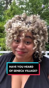 Uncovering the Hidden History of Central Park