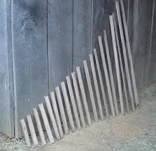 In addition, orchardists recommend that, early on, you use limb spreaders to spread out the limbs of the trees from a more vertical to a more horizontal direction. Train Up A Branch Farm Hand S Companion Old Time Organic Vegetable Gardening Orchard Husbandry For The Homestead Or Hobby Farm