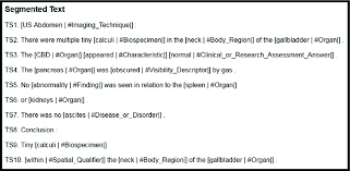 Sample Annotated And Segmented Ultrasound Report Download Scientific Diagram