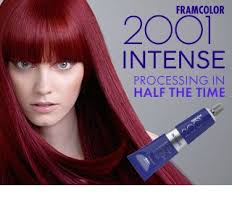 Professional Hair Products Framesi