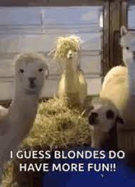 The idea that men are necessarily up and women down is extraordinarily simplistic. Funny Hair Gifs Tenor