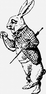 The storyline of alice in wonderland. White Rabbit Alice S Adventures In Wonderland Drawing Mad Hatter White Mammal Animals Png Pngwing