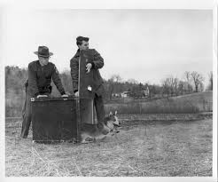 Vermont Fish & Wildlife is...