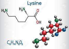 Lysine (L- Lysine , Lys, K) Amino Acid Molecule. It Is Used In.. Royalty  Free Cliparts, Vectors, And Stock Illustration. Image 124098281.