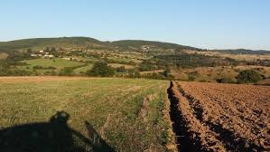 Agjencia E Pronave Kompensimi Emrat E Pronareve Qe Perfitojne 1 2 Milione Euro Shqiptarja Com