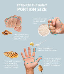 Infographic Portion Sizes With Hands Food Portions Portion Sizes Portion Chart