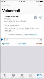 How do the voicemails and text messages appear on my computer? 4 Easy Ways To Save Voicemails From Iphone