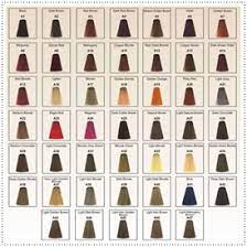 Berina hair professional permanent hair dye color cream (a6) violet color. A14 Berina Dark Brown Violet Permanent Hair Dye Chocolate Cherry Hair Cream