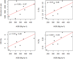 Image result for Cola pierlotii