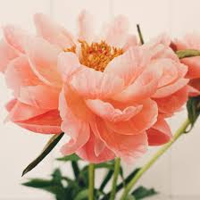 Find & download the most popular flowers bouquet vectors on freepik free for commercial use high quality images made for creative projects. 15 Best Flower Delivery Services For Mother S Day In 2021 Self